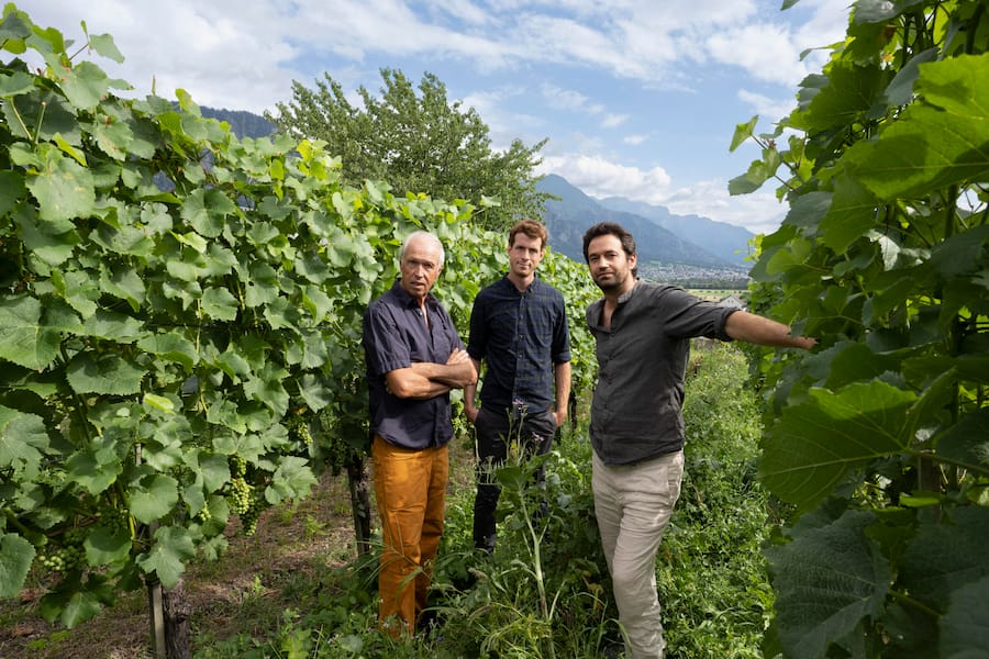 Cerdic Werner, Georg und Marco Fromm,Malans, Graubünden, Schweiz,Suisse,Svizzera,Switzerland,