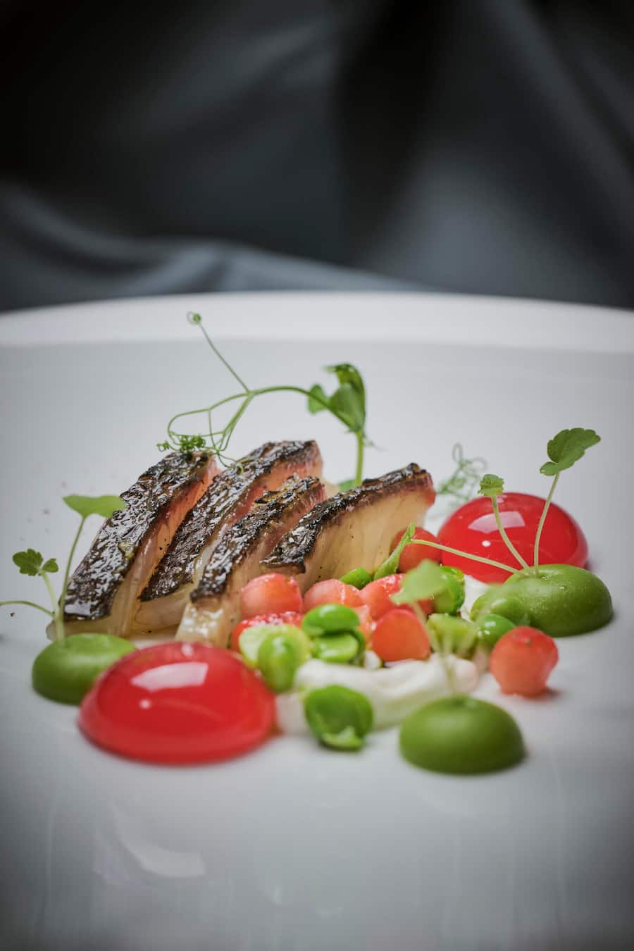 Souper UBS à 4 mains avec Guy Ravet et Lucrèce Lacchio au berceaux des sens à l'EHL, mardi 30 avril 2024 à Lausanne. (© Gabriel Monnet)