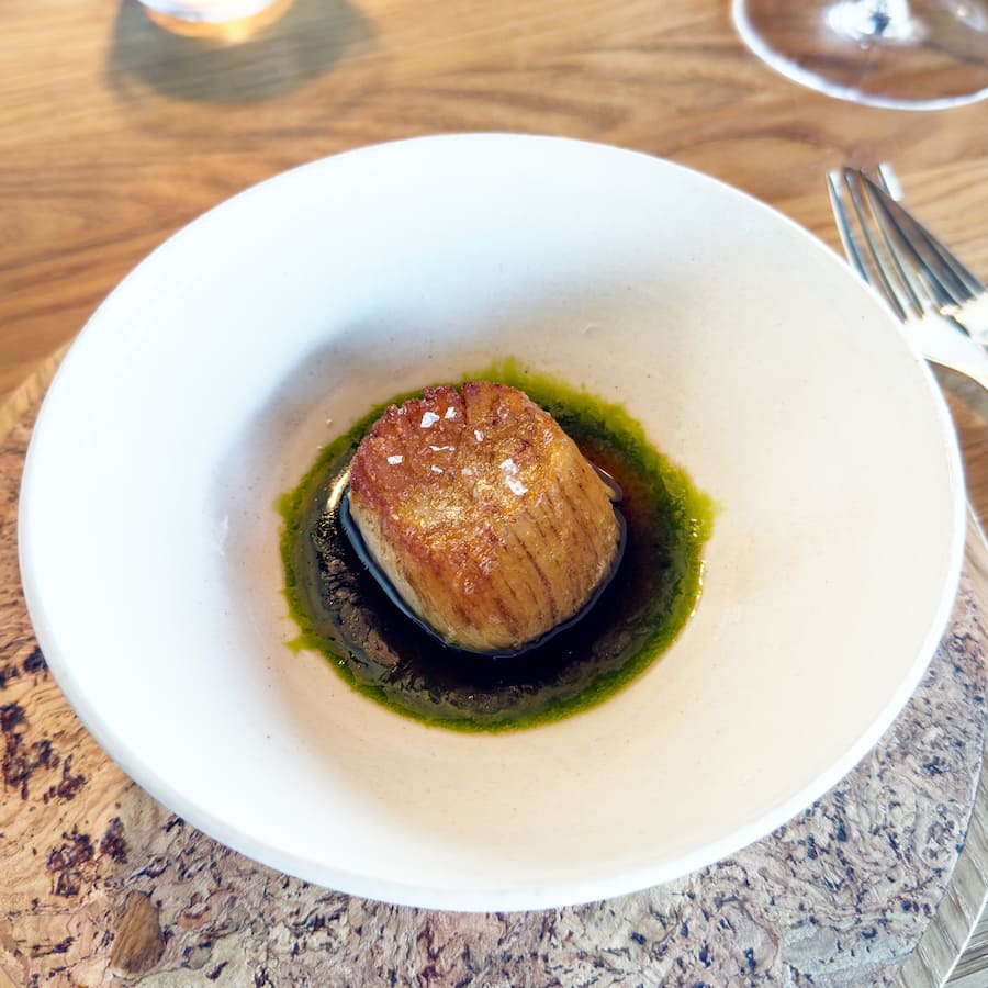 Vyn, Daniel Berlin, Scallop