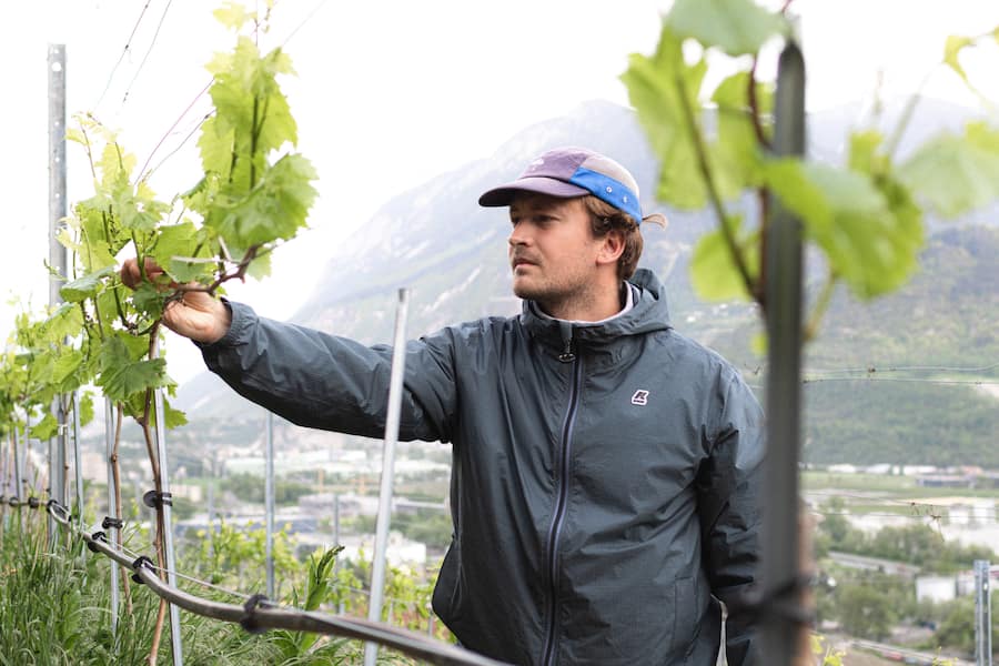 romain-favre-chippis