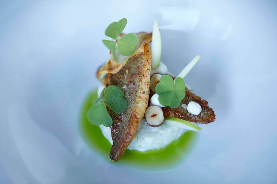 Eglifilets mit Topinambur-Tatar von Rolf Fuchs. Panorama Hartlisberg, Steiffisburg BE; 20.09.2018, Foto Lucian Hunziker