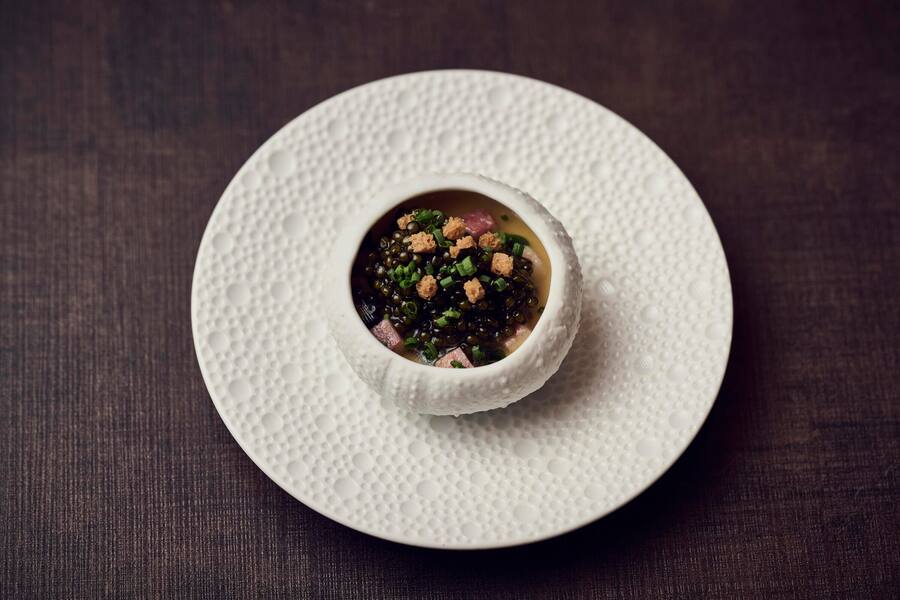 Parmesan-Chawanmushi, gereifter N25-Kaviar, Aal-Dashi, getrockneter Aal