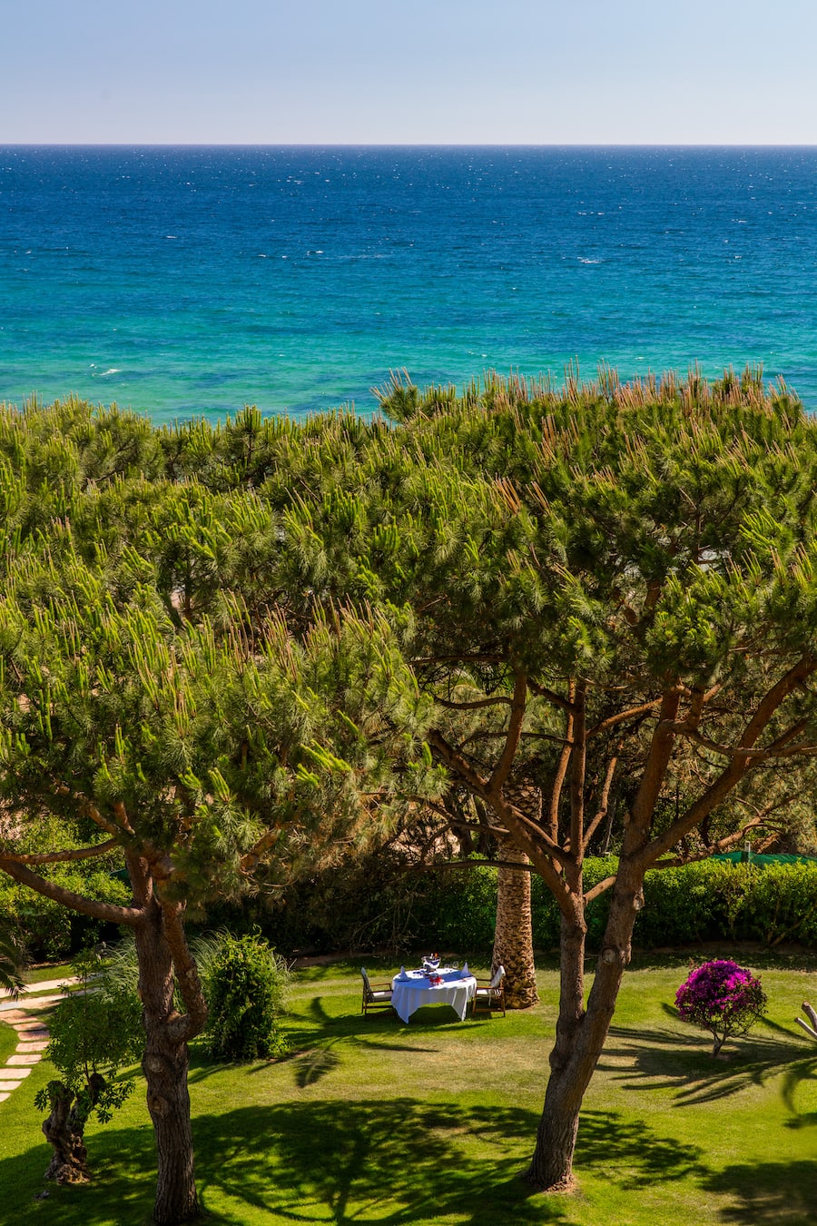Im herrlichen Park wird aufgedeckt, wo immer der Gast mag. Und er bestellt, was er will: mal Seafood von der Holzkohle, mal Wiener Schnitzel.