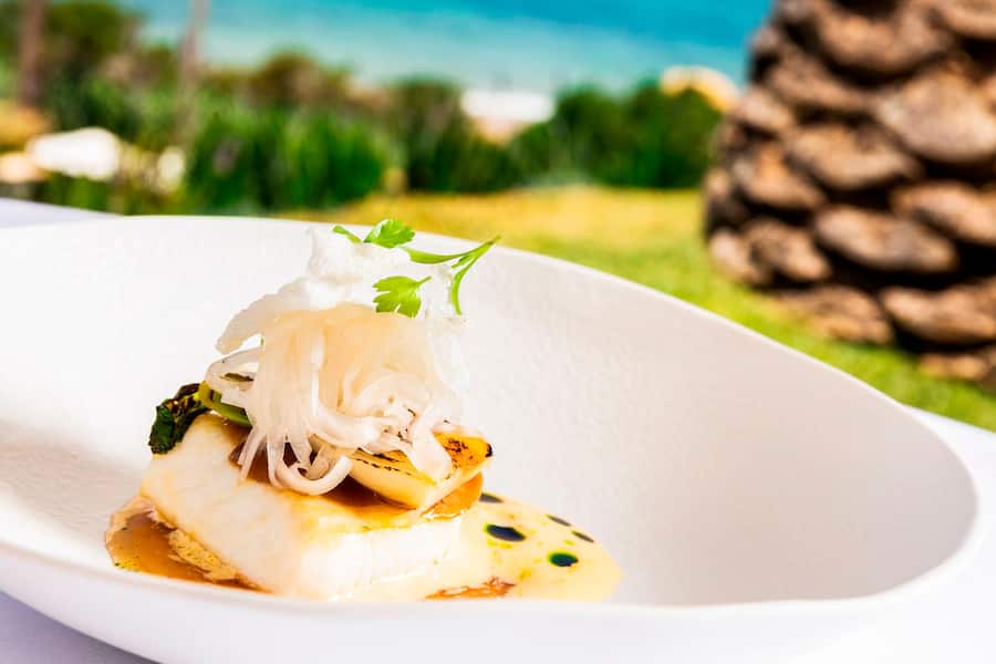 Frischer geht nicht: Dieter Koschina ersteigert Seegetier am berühmten Markt von Sagres. Fische aus kleinen Booten, an der Leine gefangen