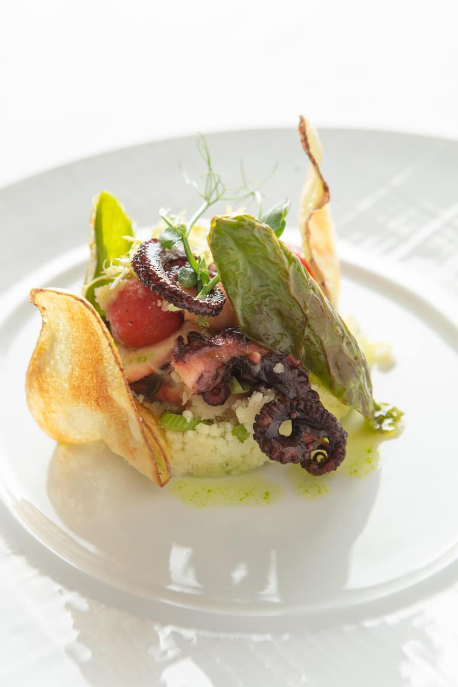 Oktopus, Kartoffelschnee, Friggitelli