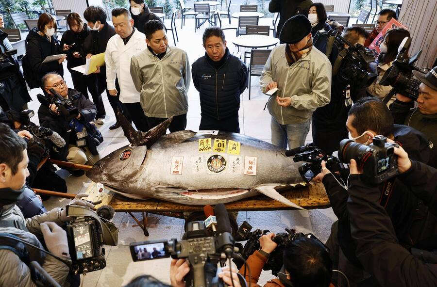 News Themen der Woche KW01 News Bilder des Tages Japan, Neujahrs-Thunfisch-Auktion in Tokio New Year tuna auction in Tokyo Photo shows a bluefin tuna that fetched 207 million yen $1.3 million during the year s first auction at the Toyosu fish market in Tokyo on Jan. 5, 2025. PUBLICATIONxINxAUTxBELxBIHxBULxCZExDENxESTxFINxFRAxGEOxGERxGRExHUNxISLxIRLxITAxLATxLTUxLUXxLIExMKDxNORxPORxPOLxROUxSVKxSUIxSRBxSLOxESPxTURxUKxUAExONLY A14AA0003943021P