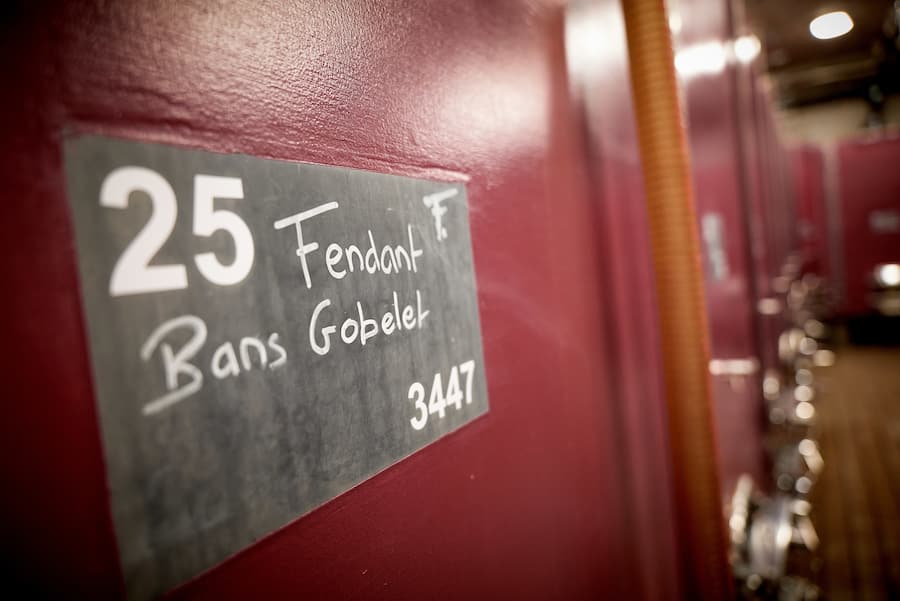 Martigny, le 6 février 2025, Sarah Besse du domaine Gérald Besse nous fait découvrir sa cave et sa vision du vin  © sedrik nemeth