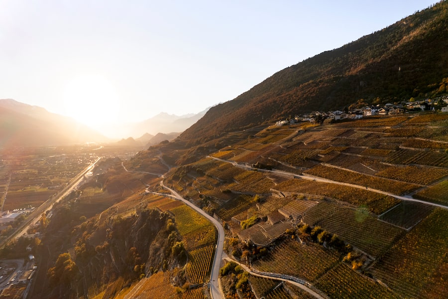 crans-montana-vignoble-vignes