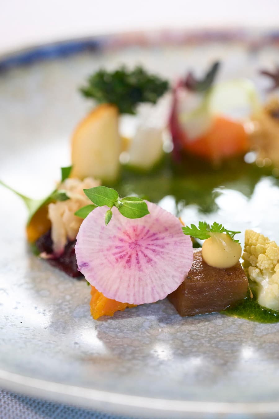 Pascal Steffen kocht mit Gemüse vom Birsmattehof (Therwil BL), die Lieferanten (Nicole & Alexander Tanner und Gebremedhin Fisaha) zu Gast im Restaurant Roots Basel, Gericht: «Roots Garden», 19.02.2025, Foto Lucia Hunziker