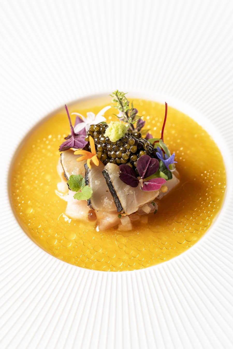 Sato Toffolon Makrele