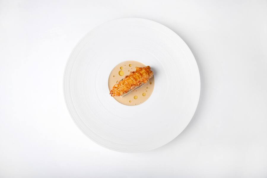 Gericht: LANGOUSTINE NORWAY, LACQUERED ⢠Salsify ⢠Pork neck