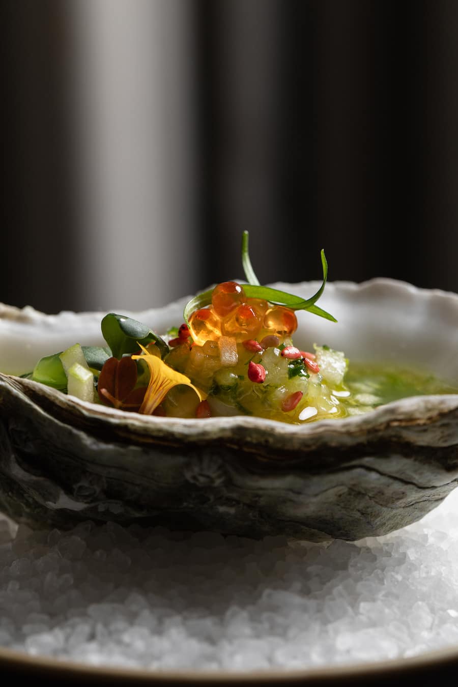 Pochierte Grillardeau Auster Nr. 2, Stangensellerie, Granny Smith, Zitrus, Portrait Restaurant Hotel Seepark und Sascha Spring, 14. Februar 2025, Hotel Seepark in Thun, Copyright Roy Matter