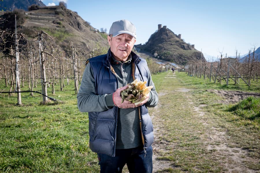 Maurice Dussex asperges Saillon Léguriviera