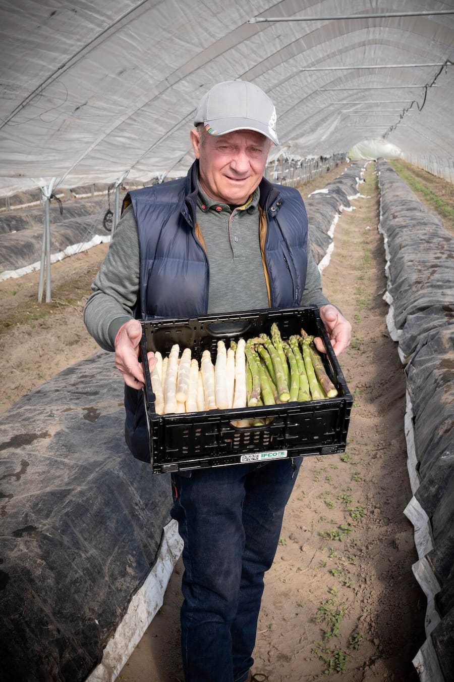 Maurice Dussex asperges Saillon Léguriviera