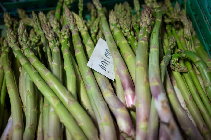 Maurice Dussex asperges Saillon Léguriviera