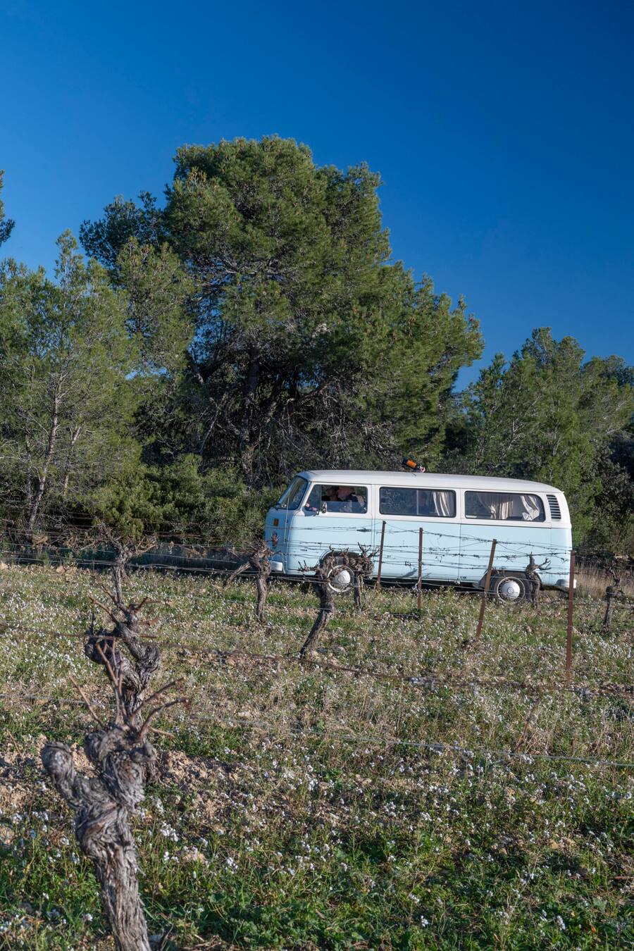 Rundfahrt im historischen VW Bus durch die Weinberge von Peyremale