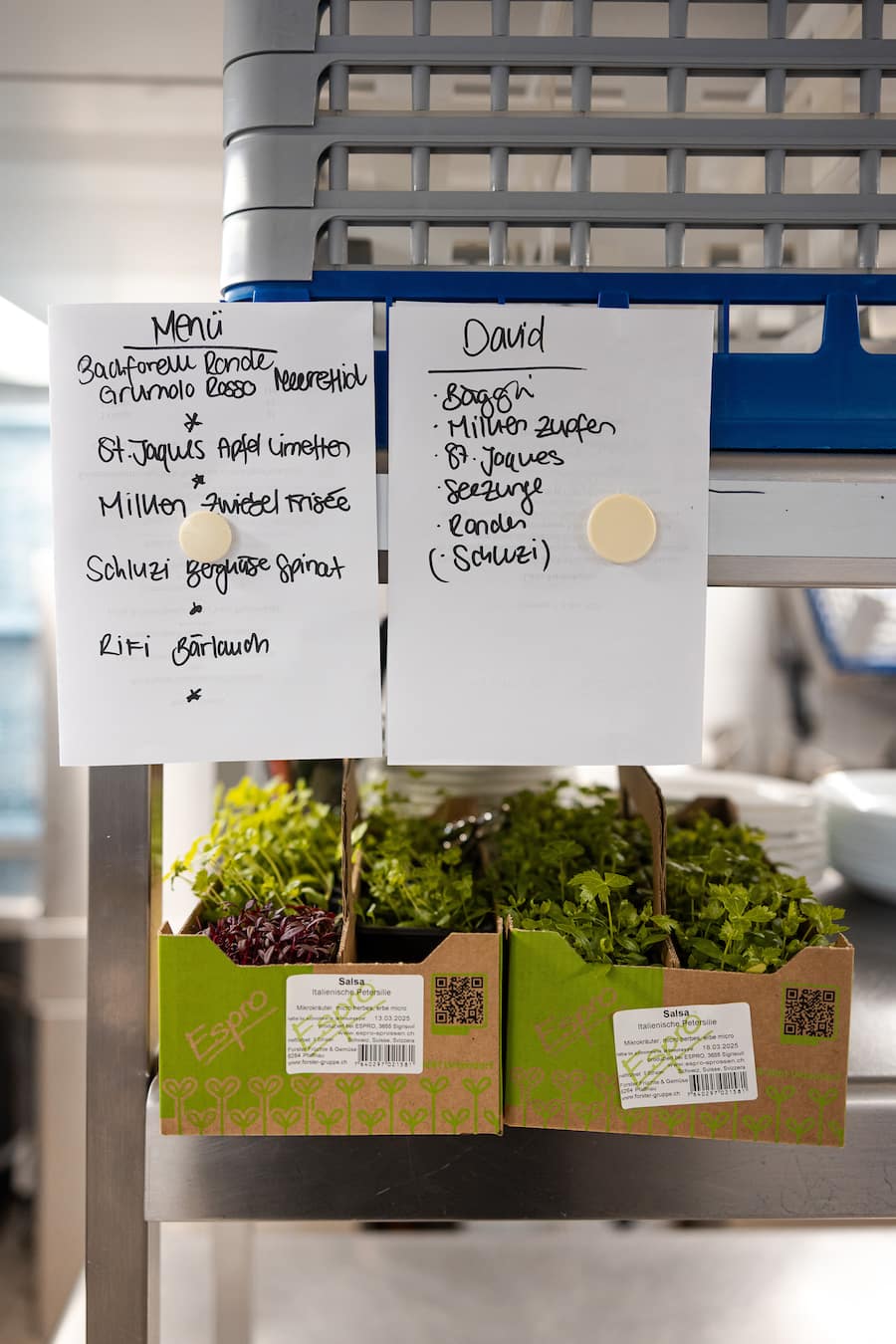 12.03.2025, Walchwil, Restaurant Sternen, Noémie Bernard, Schnapp kocht mit (photo by Remy Steiner for Gault Millau)