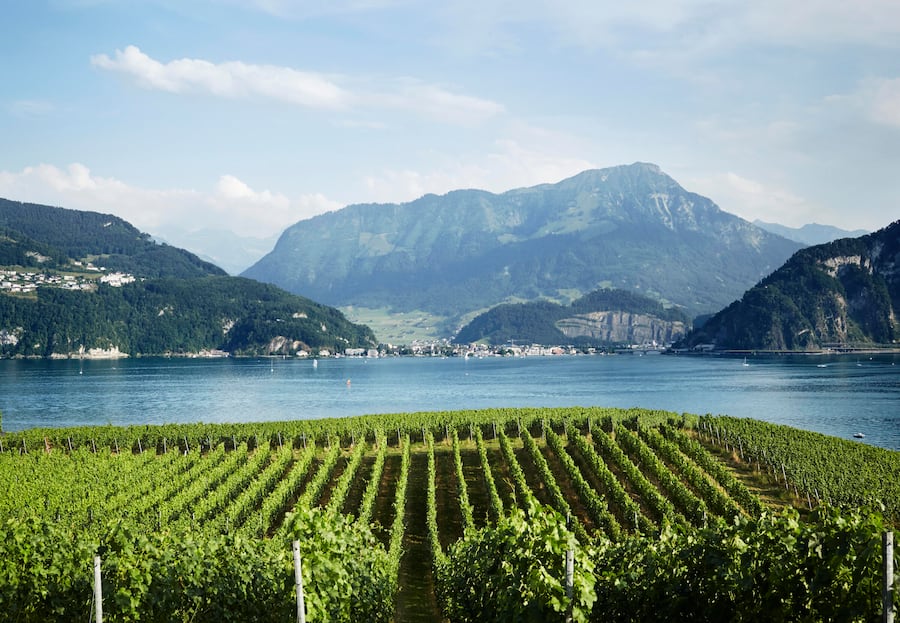 Weingut Kastanienbaum, Kastanienbaum Luzern
