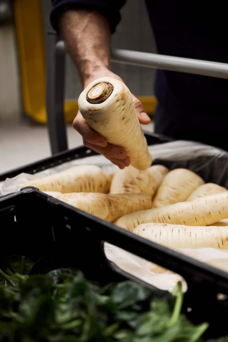 Bio Cuisine, Daizy, Andy Mattmann