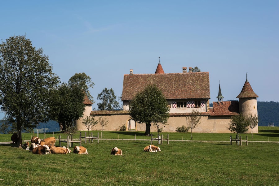 Chateau de Raymontpierre