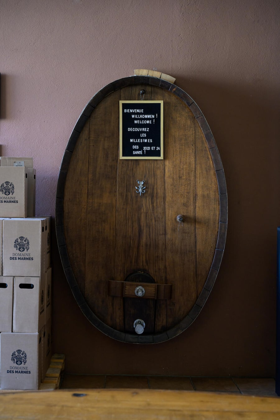 Constantine, 11 avril 2025. Reportage au Domaine des Marnes. Célia Cressier (t-shirt rose) a repris avec son mari Julien le domaine développé par son père Pierre Gentizon. Le Domaine des Marnes est situé dans l'appellation Vully, localisée entre les lacs de Neuchâtel et de Morat. ©François Wavre | Lundi13