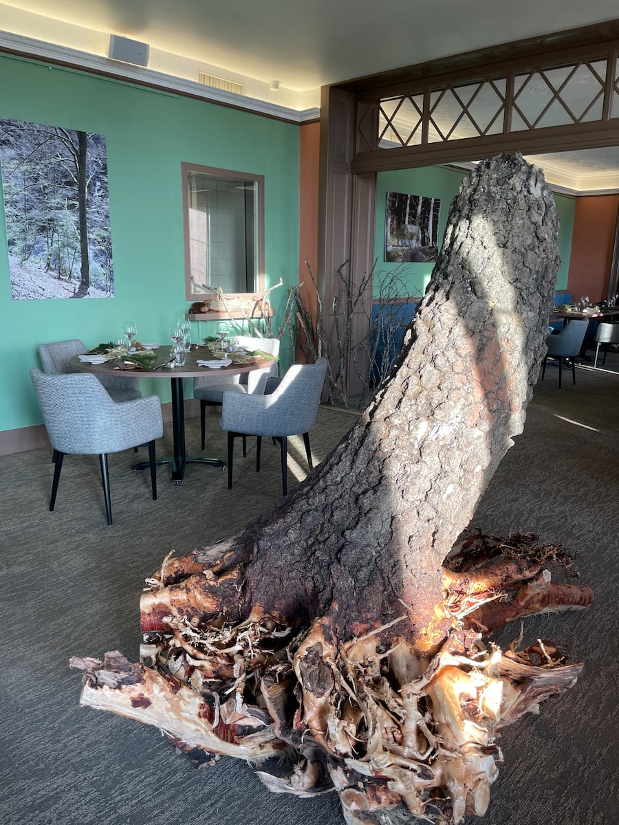 Jérémie Cordier Restaurant Racine Hôtel Bon-Rivage La Tour-de-Peilz