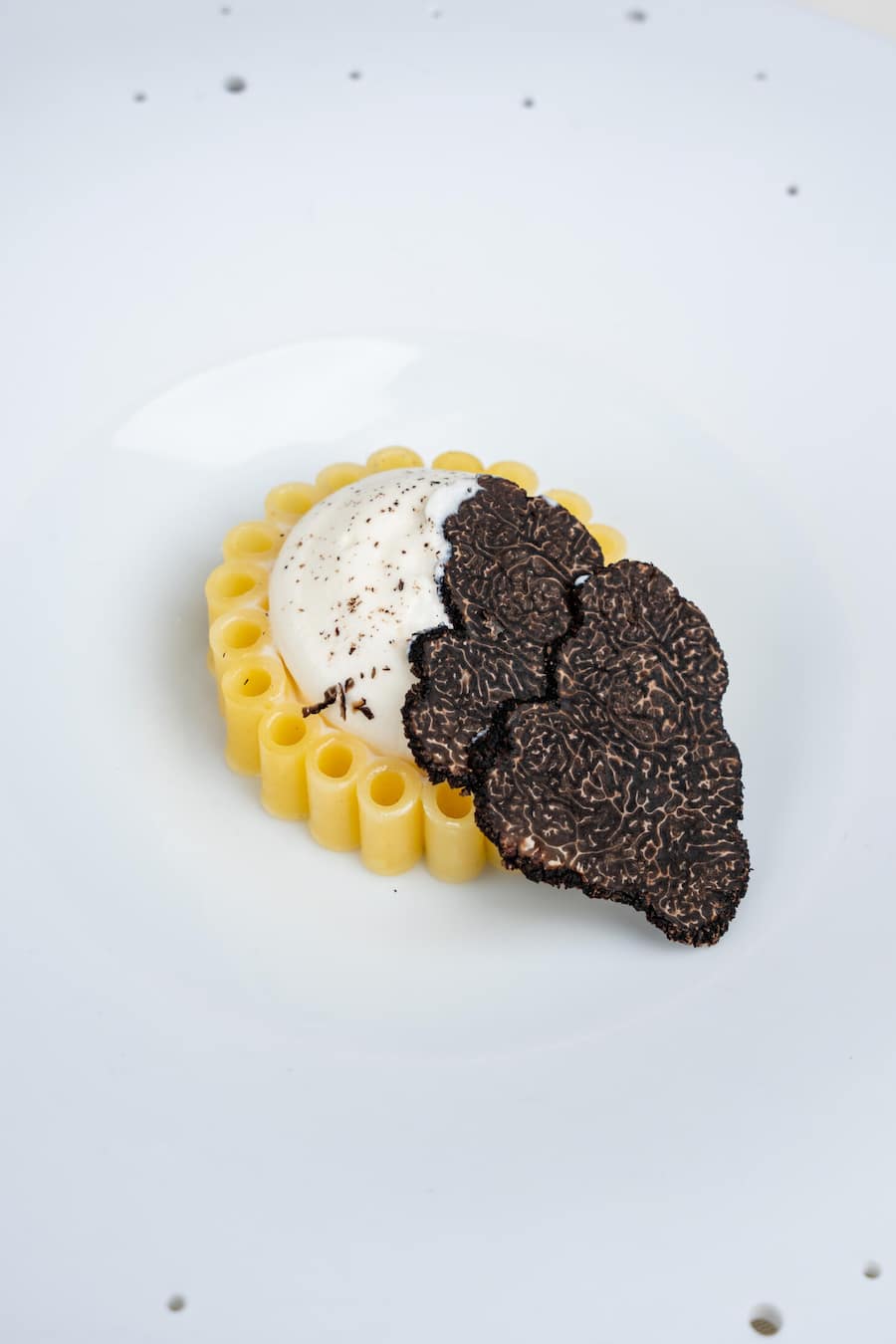 L'oeuf et la truffe macaroni et la tétragone