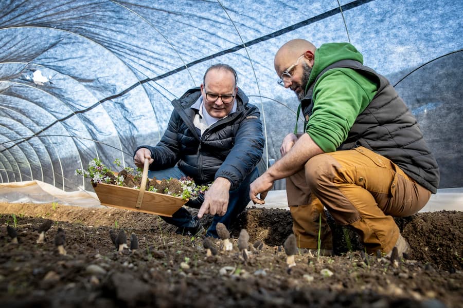 Arno Abächerli und Monsieur Ben, zwei Fribourger, ein Ziel: das regionale Top-Produkt.