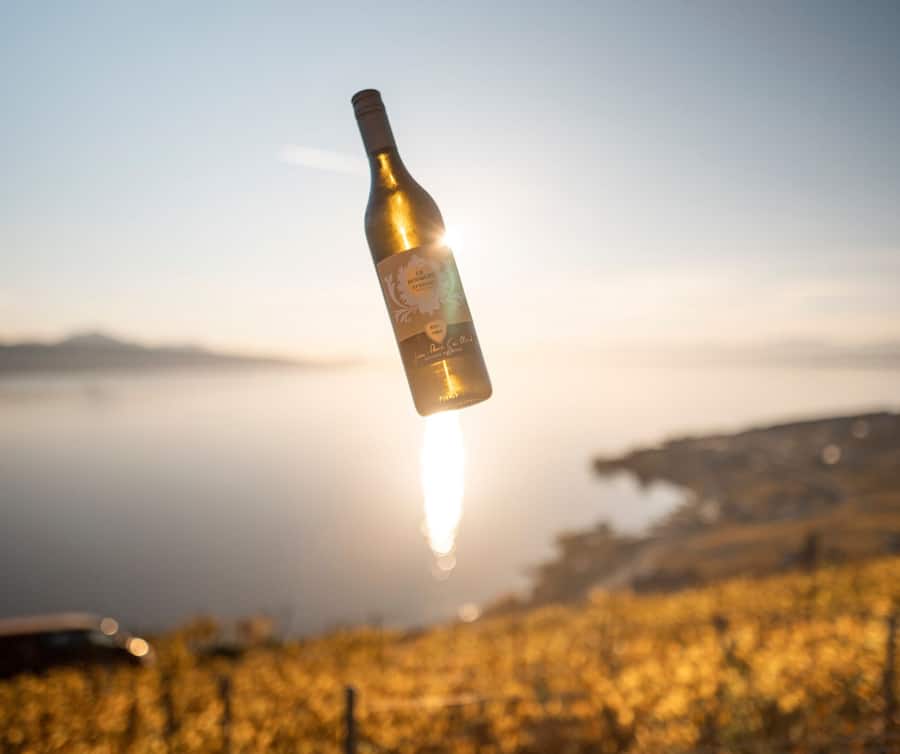 Domaine Gaillard Epesses