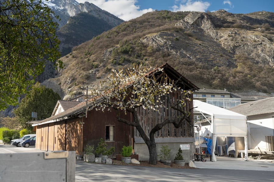 Pressoir und Lagerraum in alter Scheune Jean-René Germanier, Wallis, CH