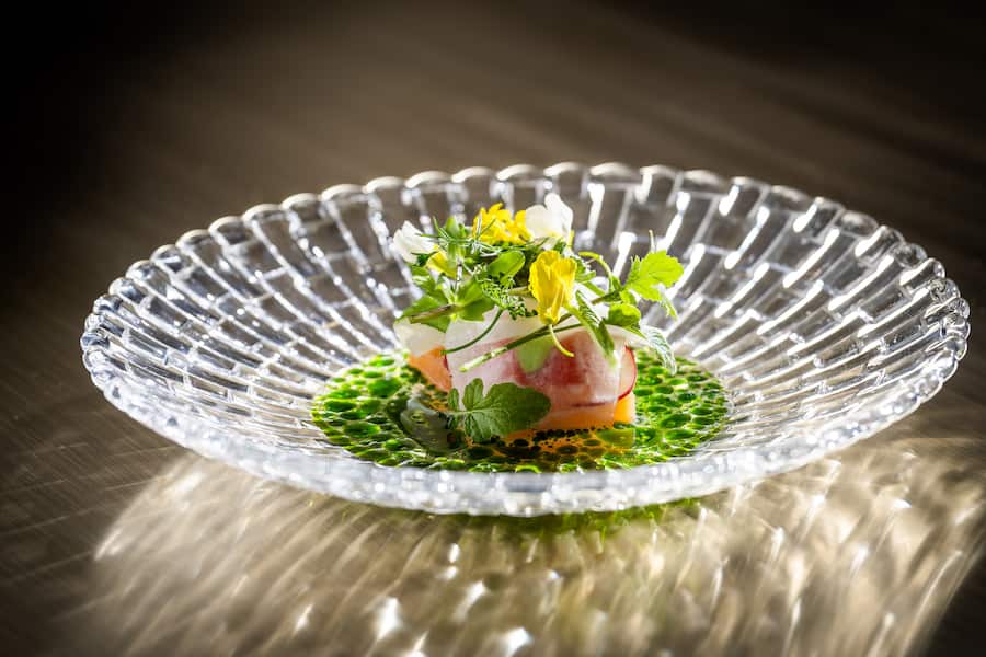 Joel Ellenberger kocht im Igniv 2023: Saibling, Kräuteröl, Büten aus dem Garten