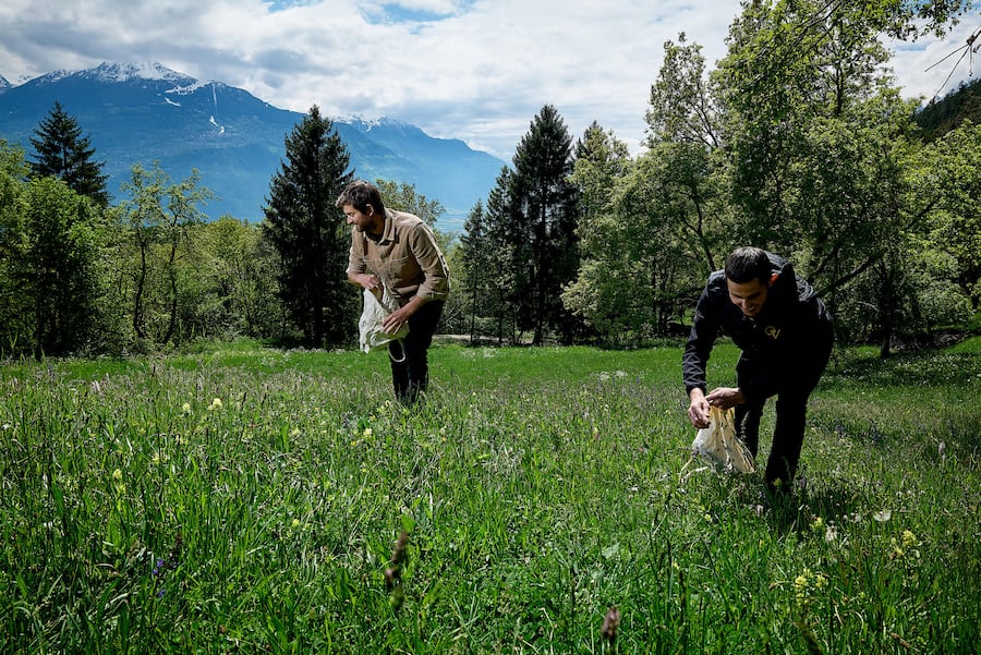 Savièse , le 8 mai 2025, Gilles Varone invite Raphael Maye dans son univers ou il nous présente une déclinaison dâasperges de chez Bianco et sa sauce hollandaise fumée au foin , et sa roulade dâ agneau en crépine , et son filet de Sandre du Valais, avec comme sommelièreLise Donier Méroz © sedrik nemeth