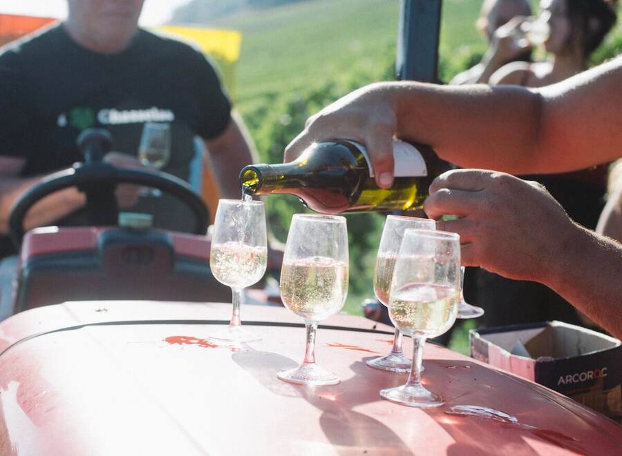 La Cuvée Menhir du Domaine Delaharpe à Bursins