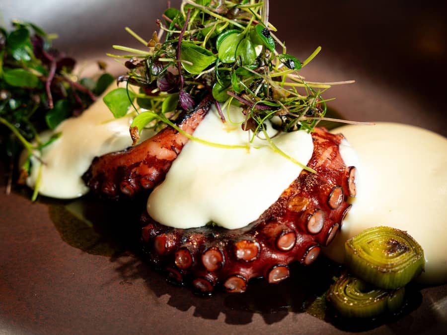 Gericht: Polpo scottato-spuma di patate-porro e ponzu Ristorante Leschär in Rüti, ZH