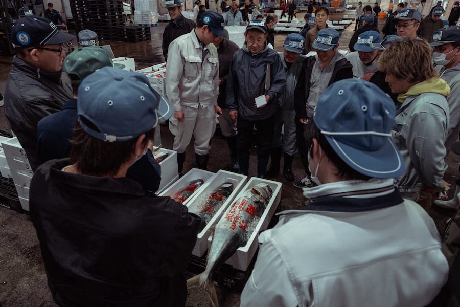 Marco Campanella in Tokio, Japan Am Donnerstagmorgen, noch vor Sonnenaufgang, macht sich das Team auf den Weg zum Fischmarkt in Fukui. Um 3:30 Uhr beginnt hier der Arbeitstag. Dank persönlicher Einladung durch Marktleiter Kosei Yosui darf Marco die gesamte Fischauktion miterleben, ein Privileg, das heute kaum noch jemandem gewährt wird.