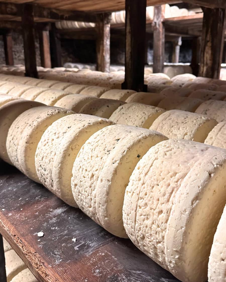 Roquefort AOP Carles