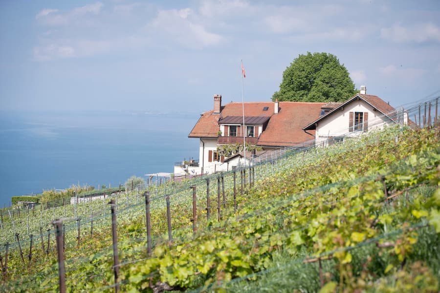 Domaine Vitis Musicalis, famille Chollet. Bourg-en-Lavaux