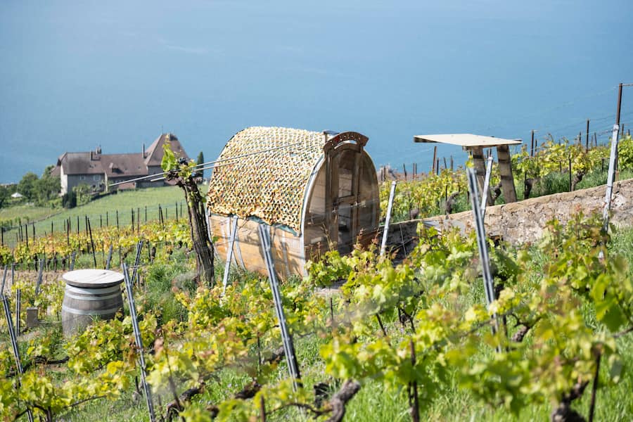 Domaine Vitis Musicalis, famille Chollet. Bourg-en-Lavaux.Le tonneau à fondue