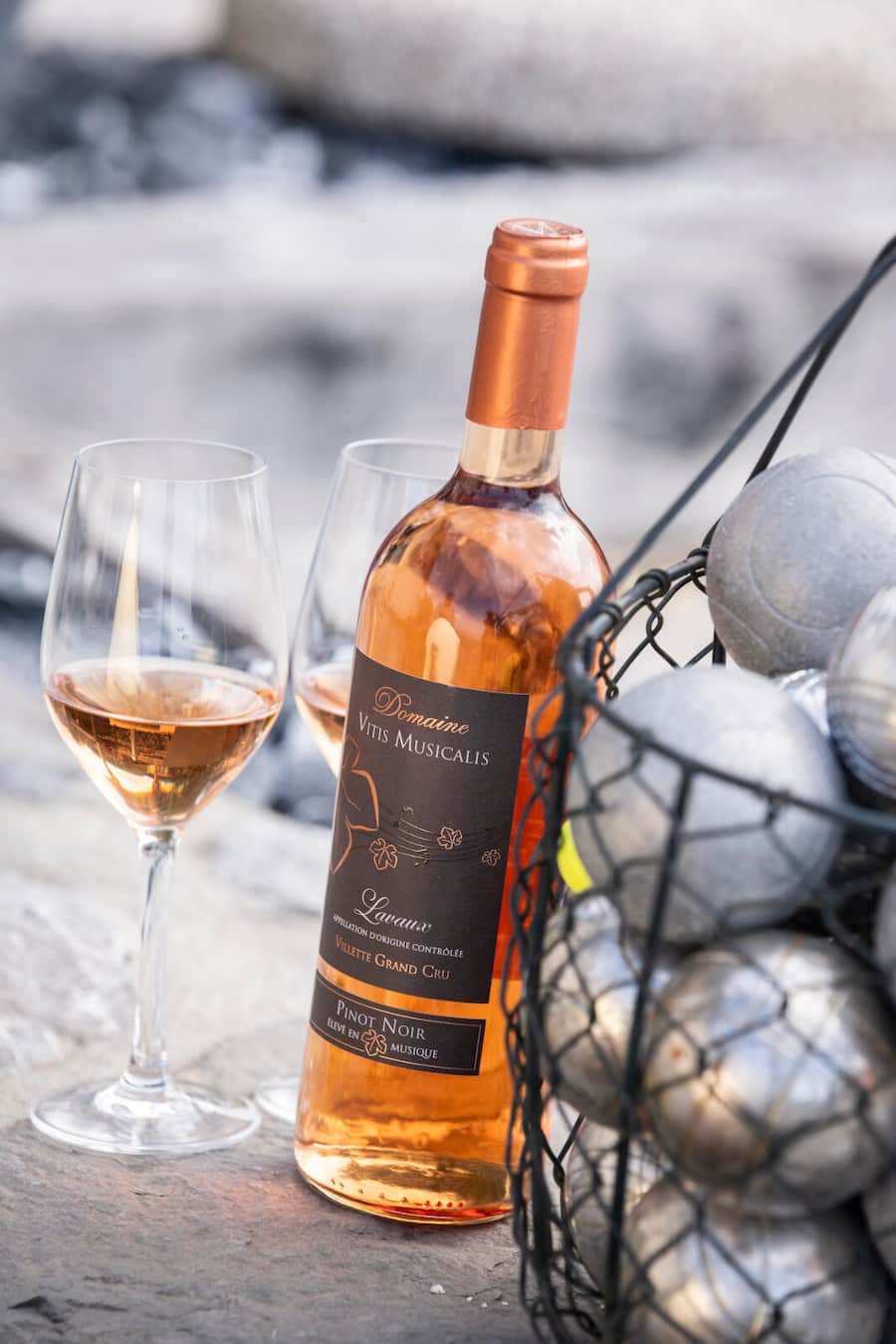 Domaine Vitis Musicalis, famille Chollet. Bourg-en-Lavaux