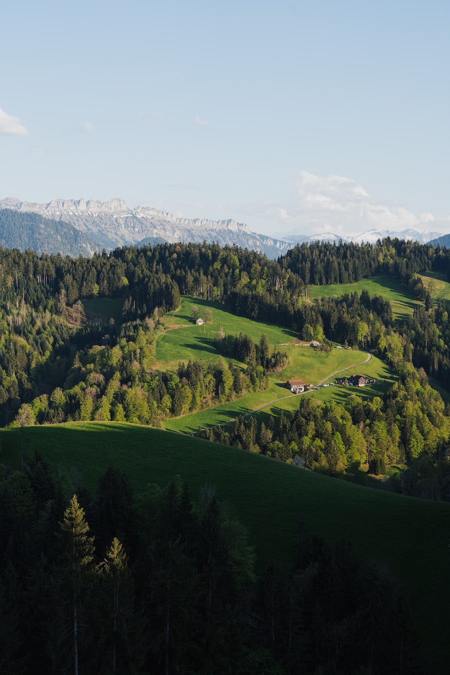 Biosphäre Entlebuch - Wiesner Mysterion - Bramboden Entlebuch - Mai 2025 - Copyright Olivia Pulver