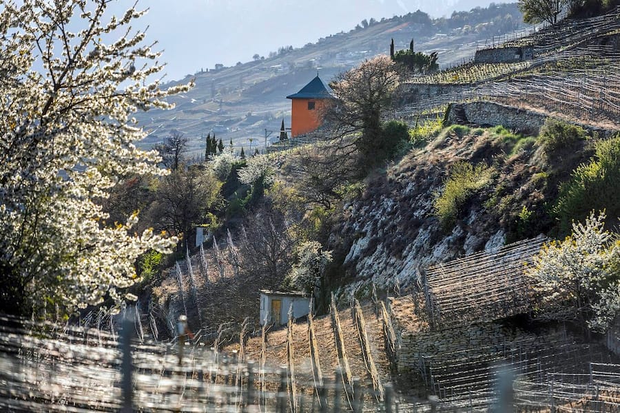 Der orange Turm der Domaines des Virets oberhalb St. Léonard