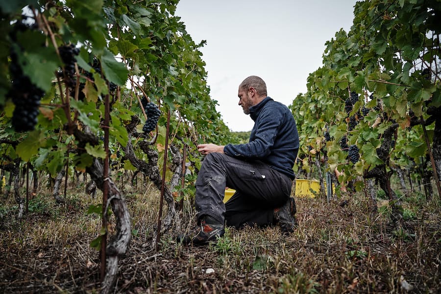 Alexander Stauffer Weine