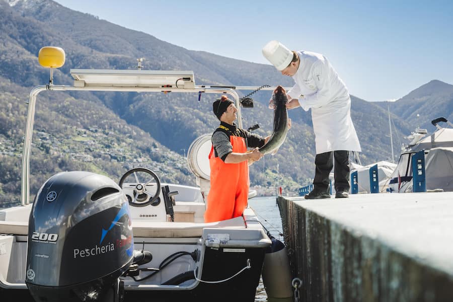 Ascona 2024: Fischer Giovanni Palmieri und Mattias Roock.