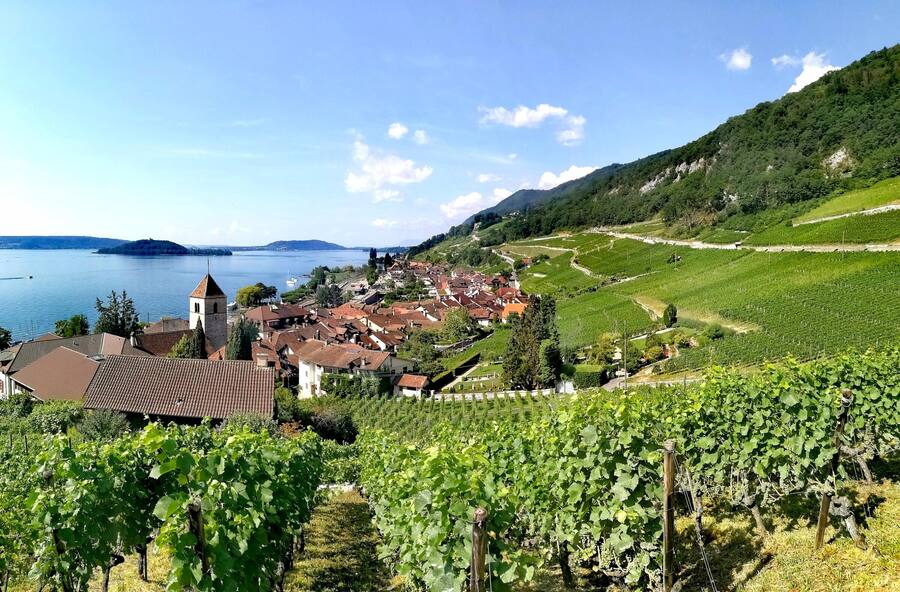 (v.l.n.r) Roman Thürig und Manuel Schneiter Domaine Bonnet du Fou, Twann, BE