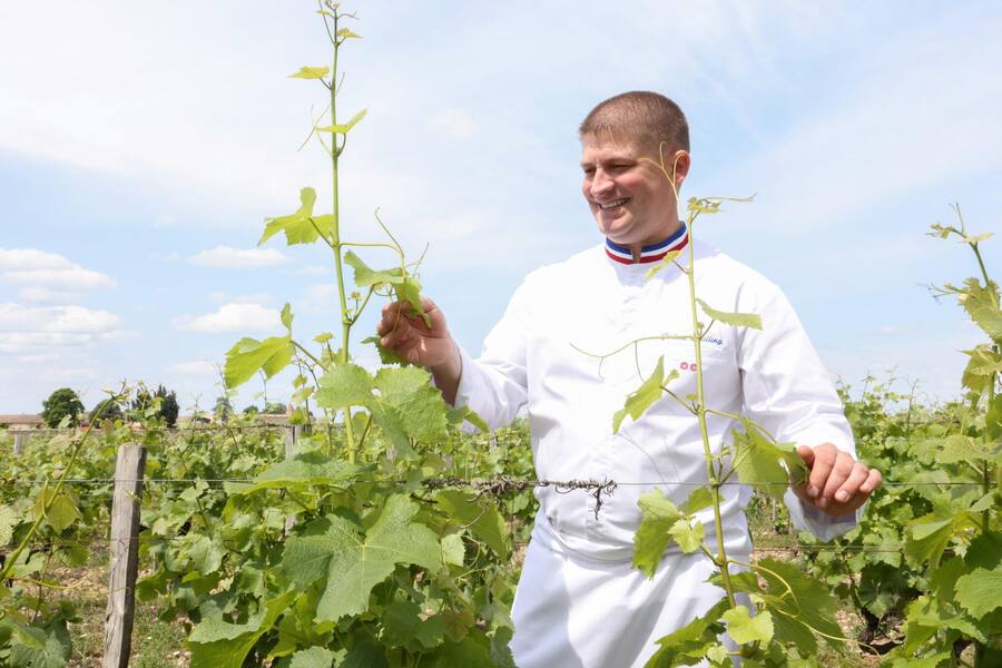 Château Lafaurie-Peyraguey, Lalique Hotel, Bommes, FRA