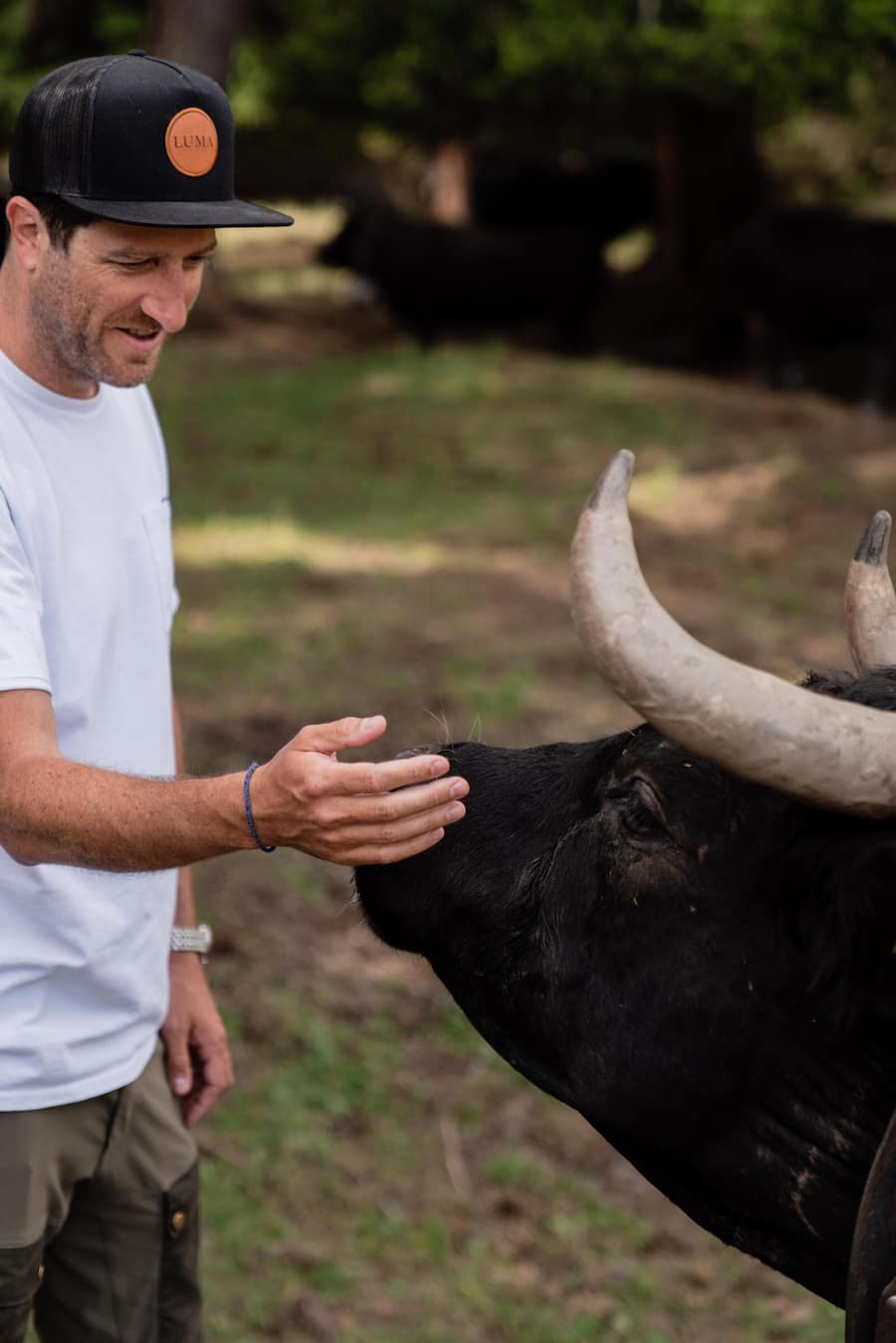Lucas Oechslin, Luma - Mit Luma Delikatessen bei den Ehringerkühen im Wallis (Martigny) - 15. Juni 2022 - Copyright Olivia Pulver