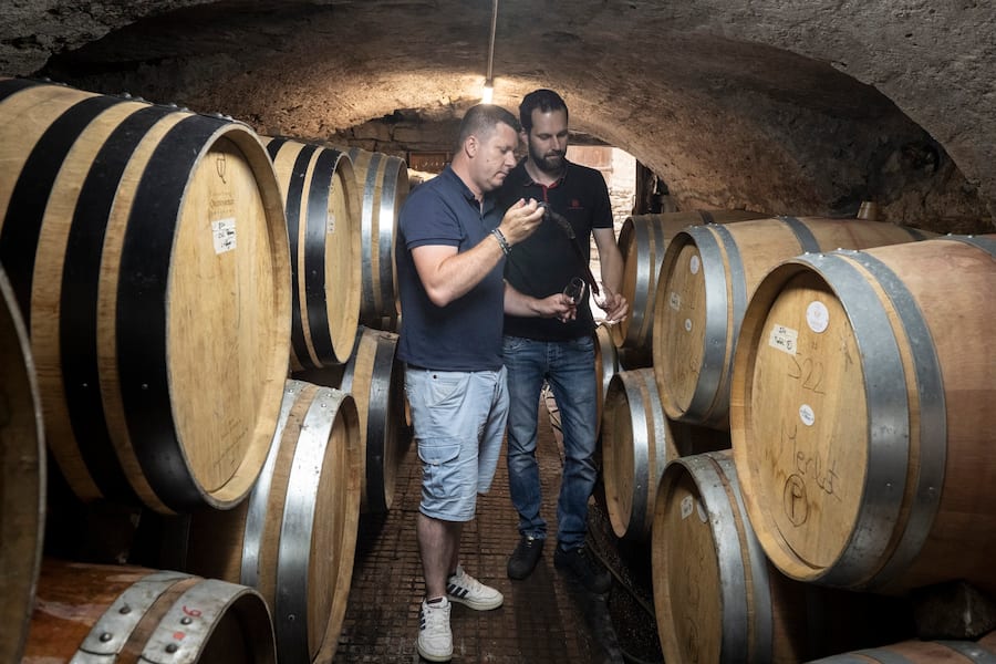 Vigneron.Gabriel Dussex à Saint-Pierre-de-Clages.Ici dans le bourg de Saillon
