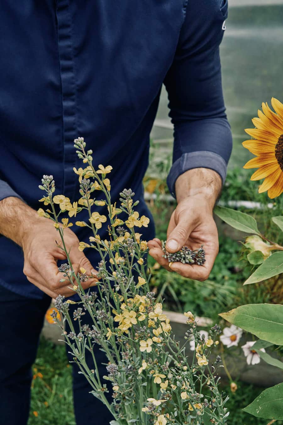 Garten Schloss Schauenstein, Fürstenau Andreas Caminada 2. Verwendung nach Absprache mit Nino (Bilder wurden für Marmite gemacht)