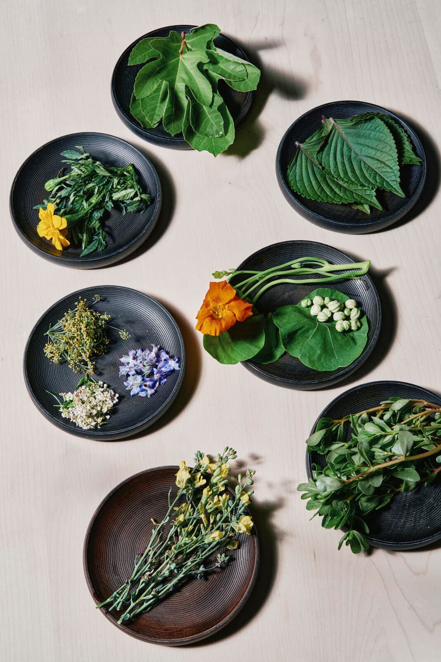 Garten Schloss Schauenstein, Fürstenau Andreas Caminada 2. Verwendung nach Absprache mit Nino (Bilder wurden für Marmite gemacht)