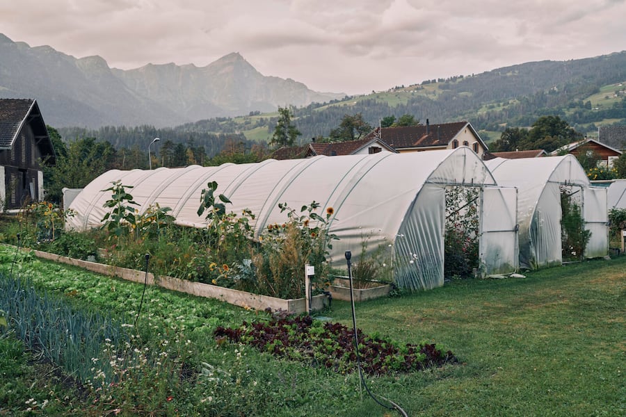 Garten Schloss Schauenstein, Fürstenau Andreas Caminada 2. Verwendung nach Absprache mit Nino (Bilder wurden für Marmite gemacht)